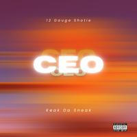 Ceo