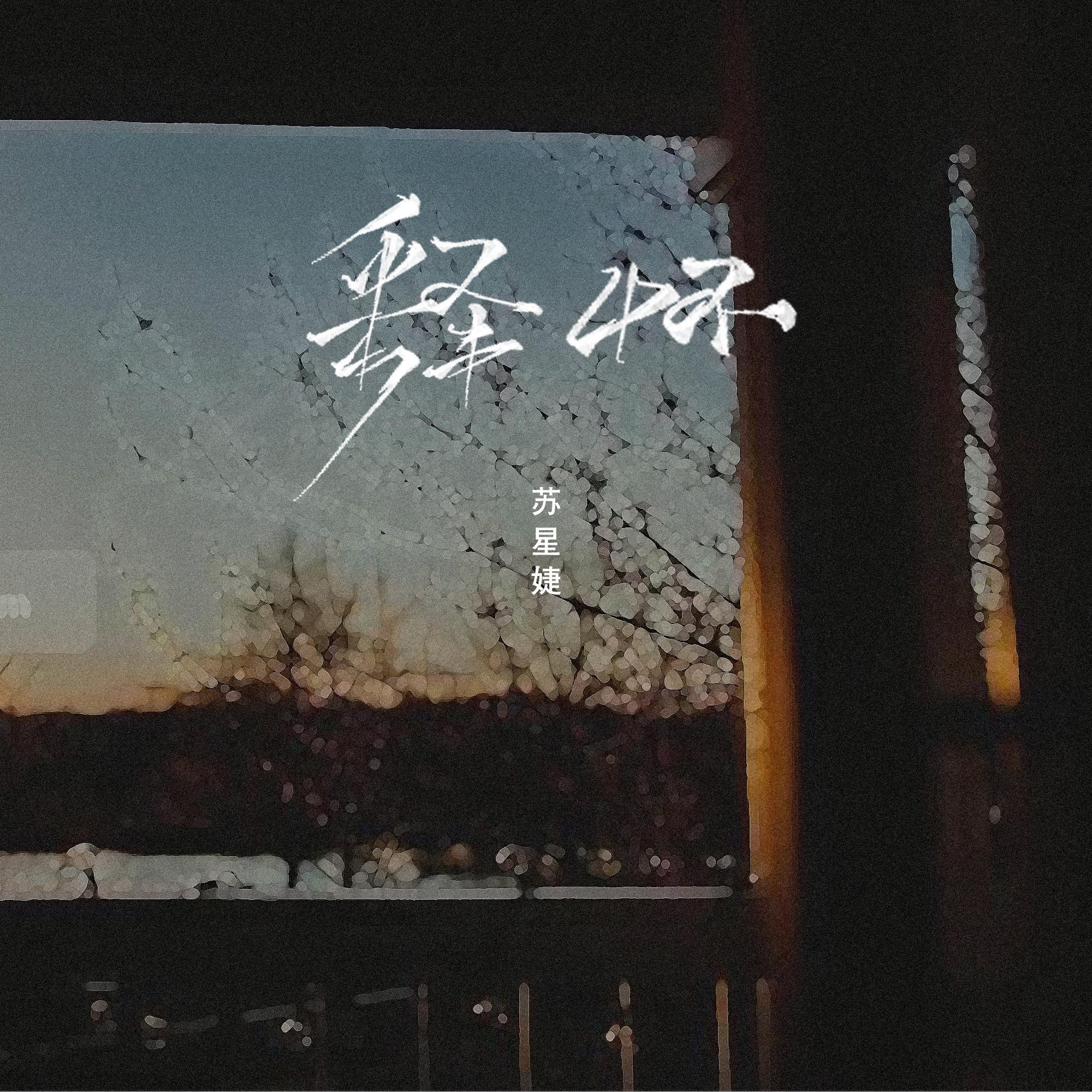 释怀_苏星婕_释怀 | 在线播放_释怀歌词_释怀下载 | 网易云音乐