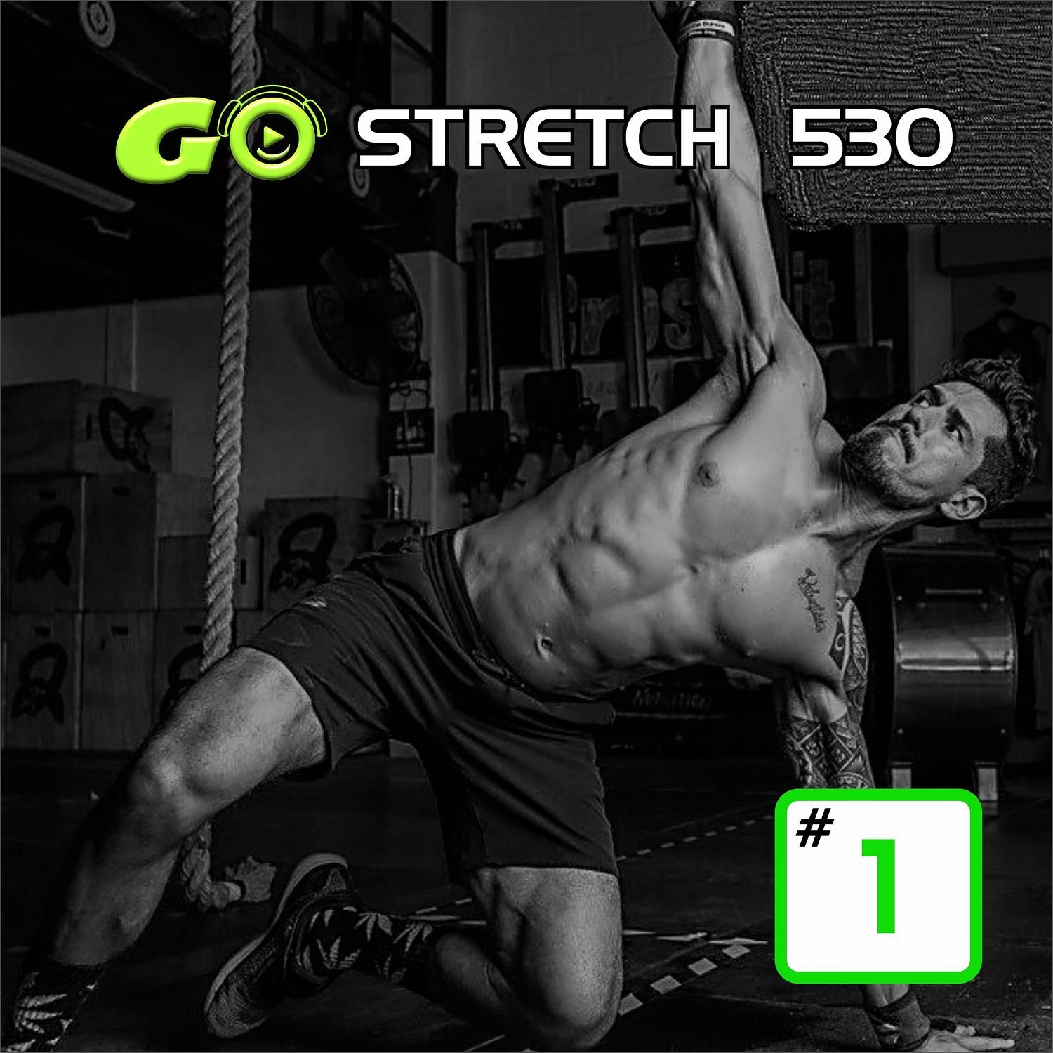 Go Stretch 530 #1