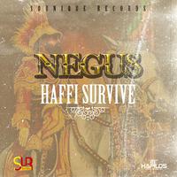 Haffi Survive