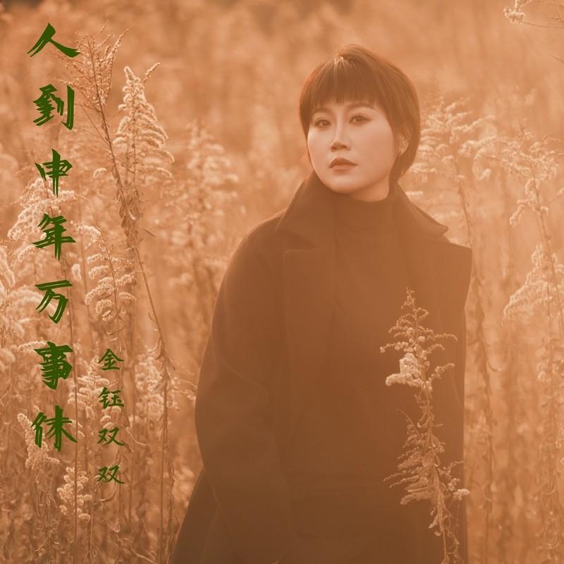 人到中年万事休 (DJ默涵版) - 金钰双双封面