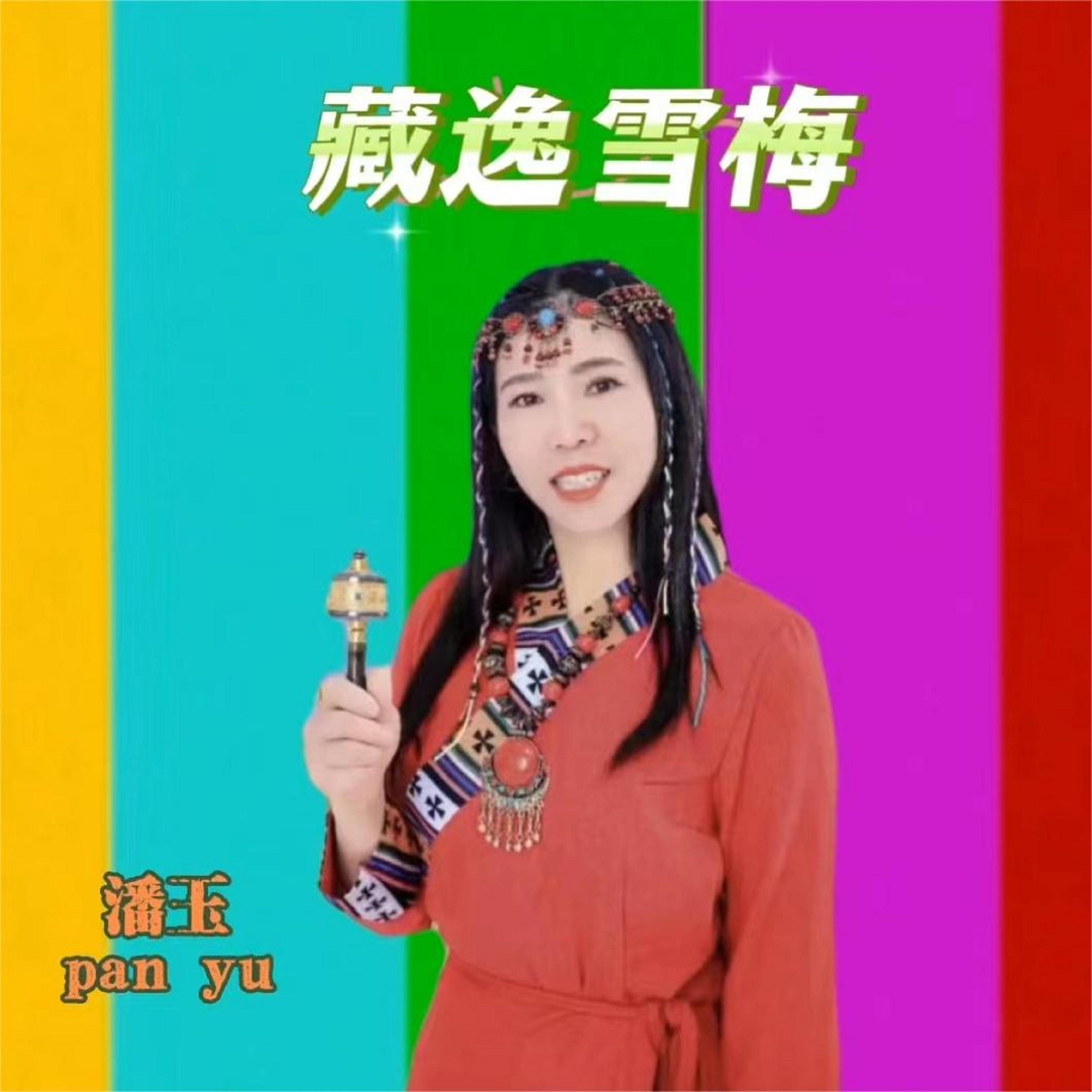 藏逸雪梅 (伴奏)封面