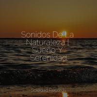 Sonidos De La Naturaleza | Sueño Y Serenidad