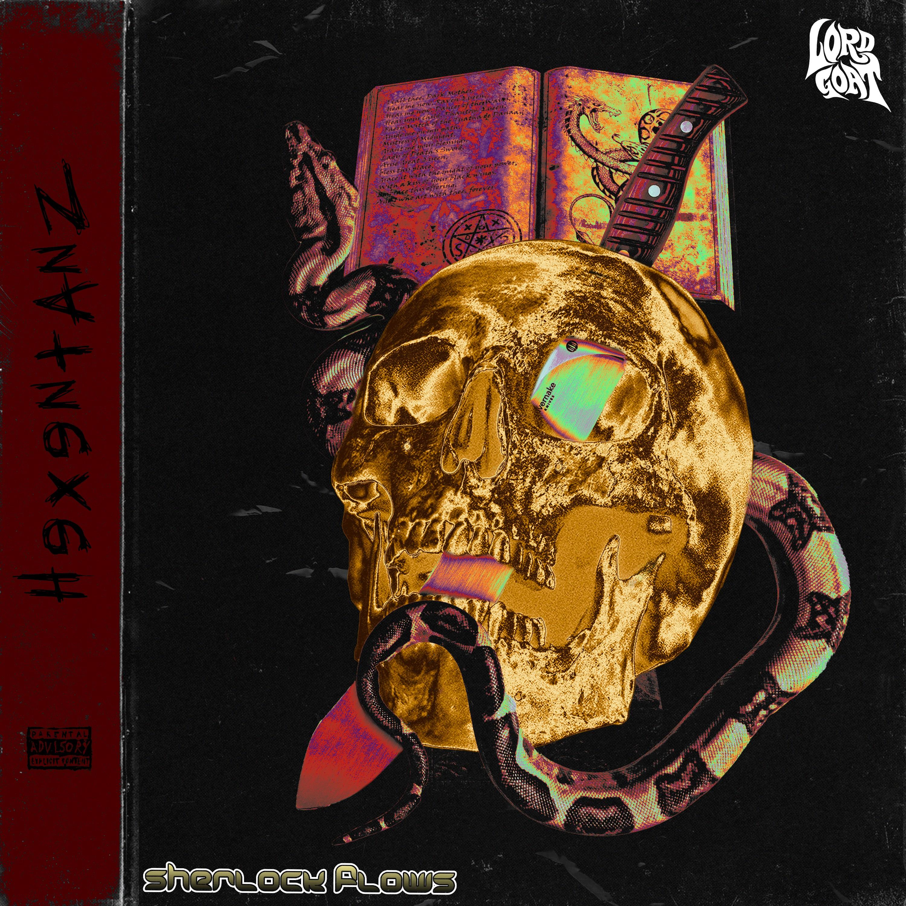 In den Slums von D!$n€yland