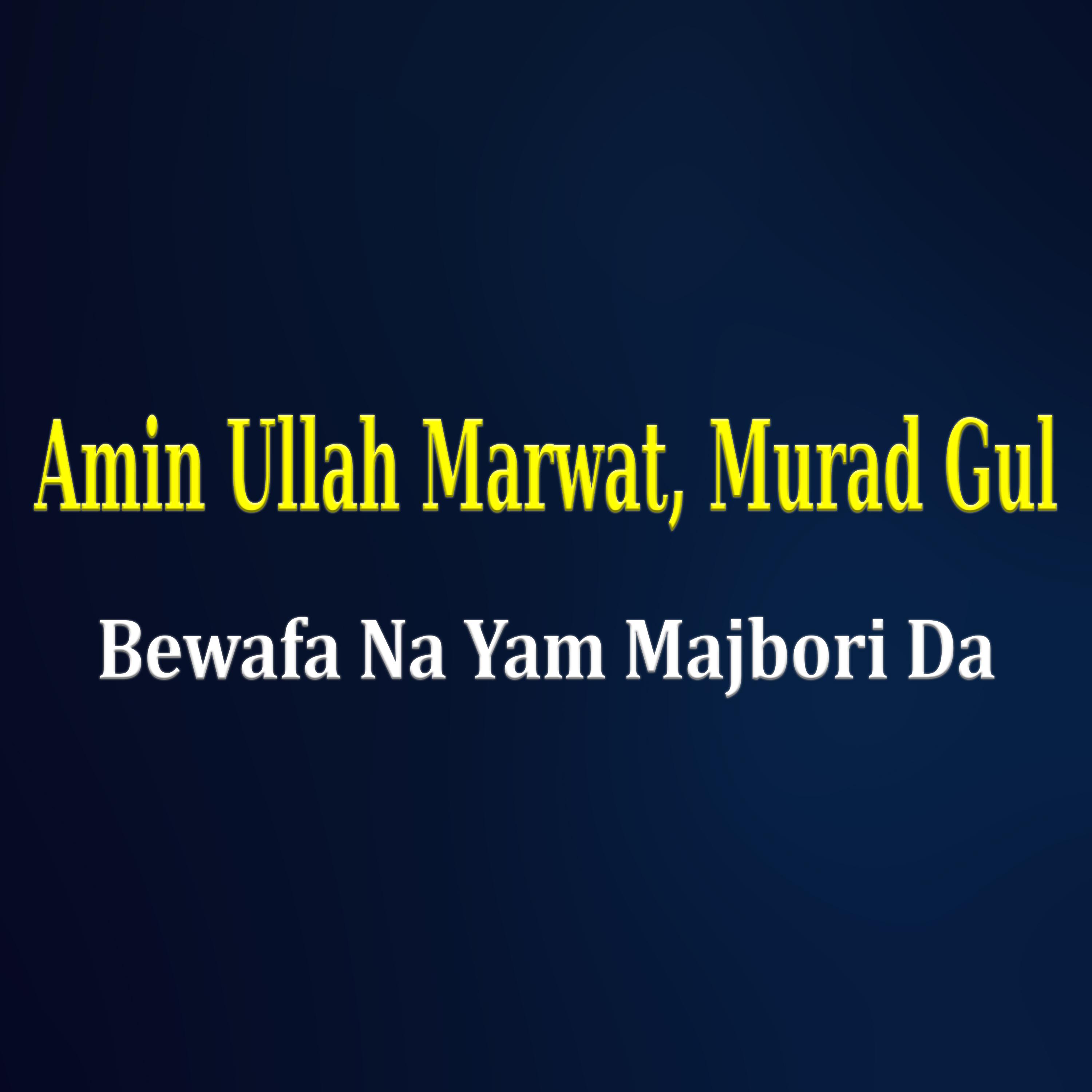 Bewafa Na Yam Majbori Da