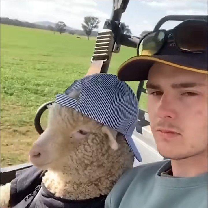 你奶奶跑了_pOgZ