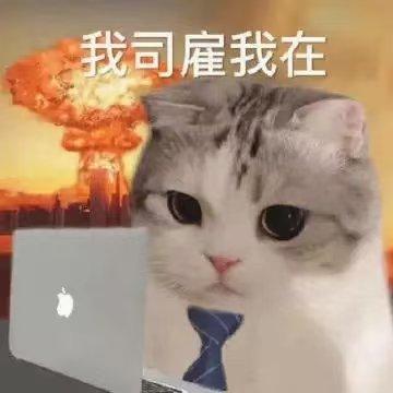 仿生丁真遇见赛博雪豹