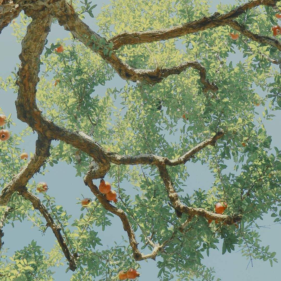 舒缓小众英语歌单