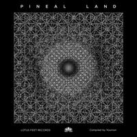 Pineal Land