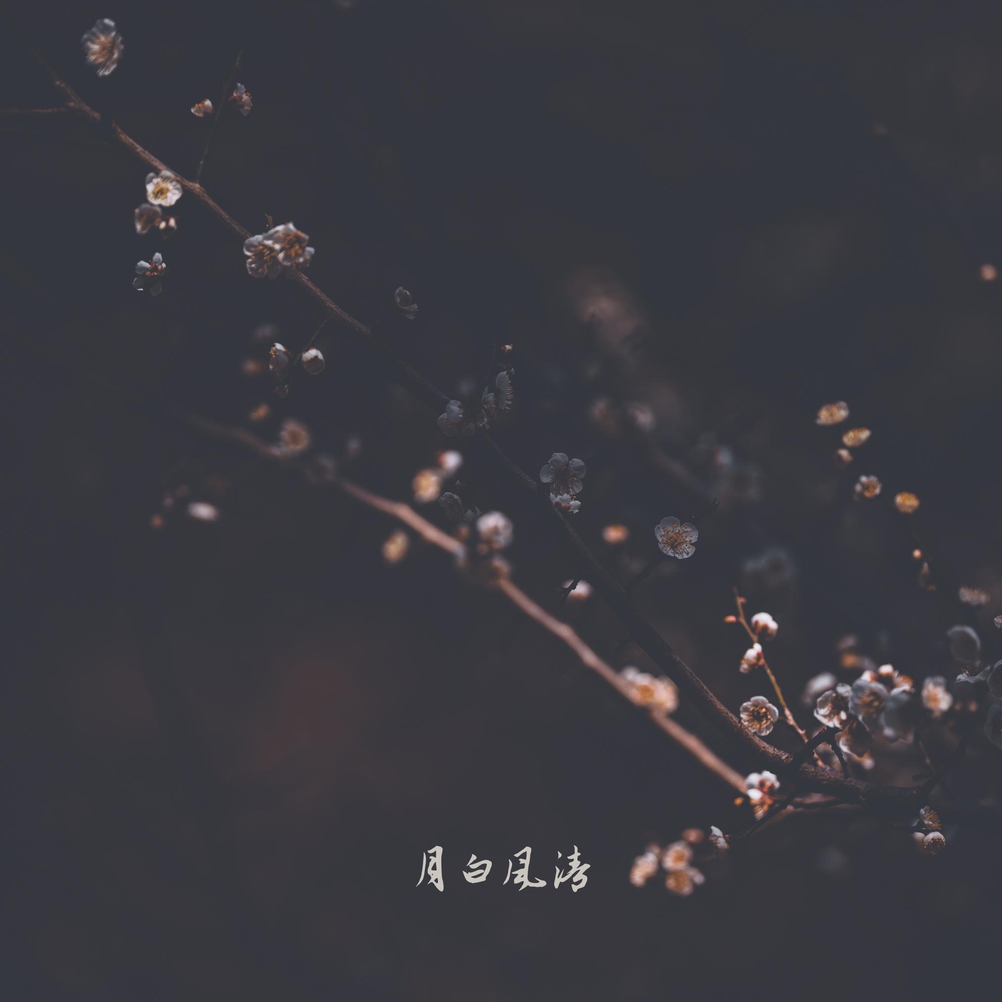 暗香疏影 (古筝)封面