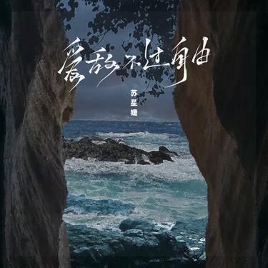 爱敌不过自由 (DJ版)封面