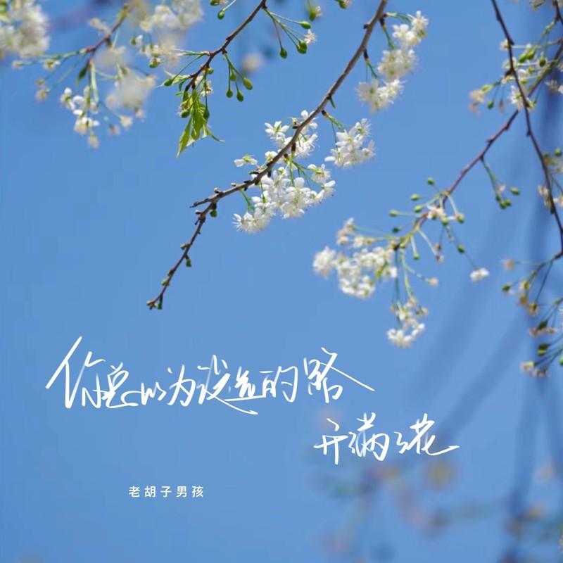 你总以为没选的路开满了花 - 老胡子男孩封面