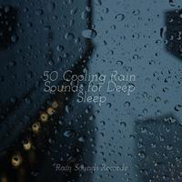 50 Cooling Rain Sounds for Deep Sleep