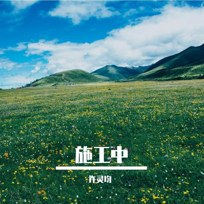 巡天 - 许灵均封面
