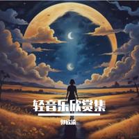 轻音乐欣赏集