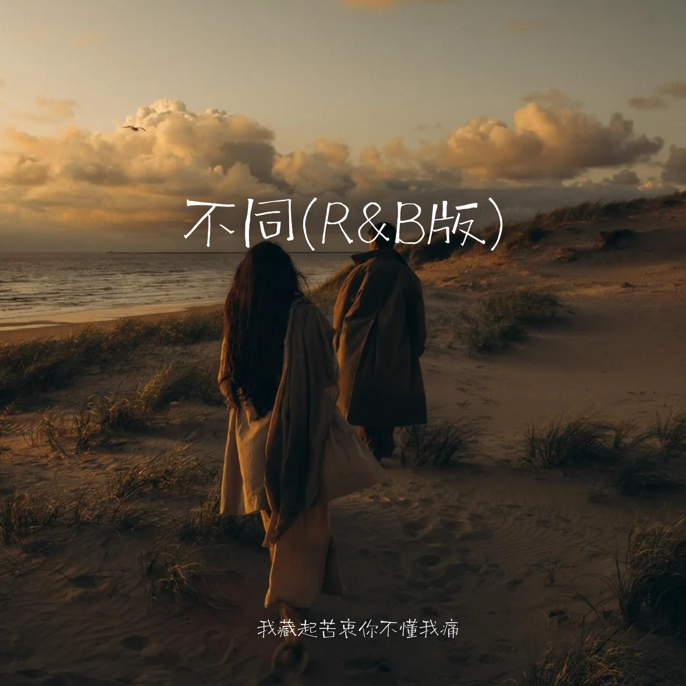 不同(R&B版)封面