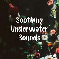 Soothing Underwater Sounds