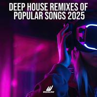 Deep House Remixes Of Popular Songs 2025