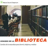 Sonidos de la Bibioteca - estudiar, meditar, dormir, sonidos relajantes