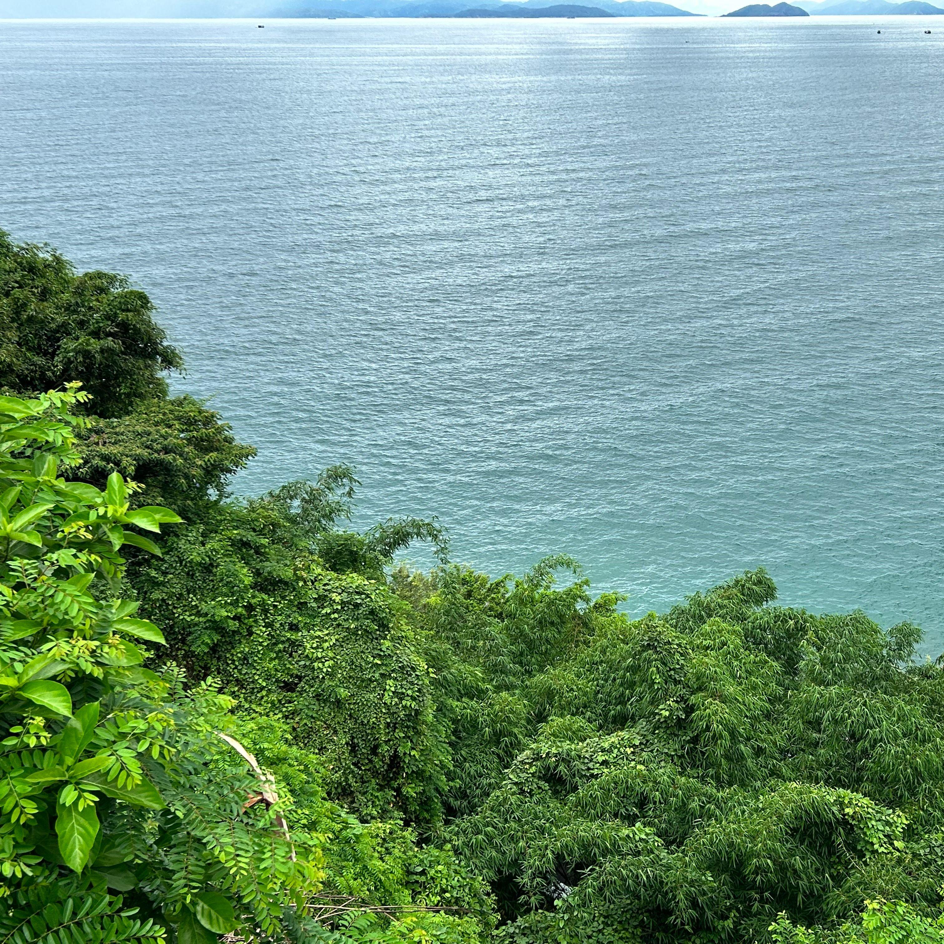 Montell fish - Last Dance (MyClosest remix)