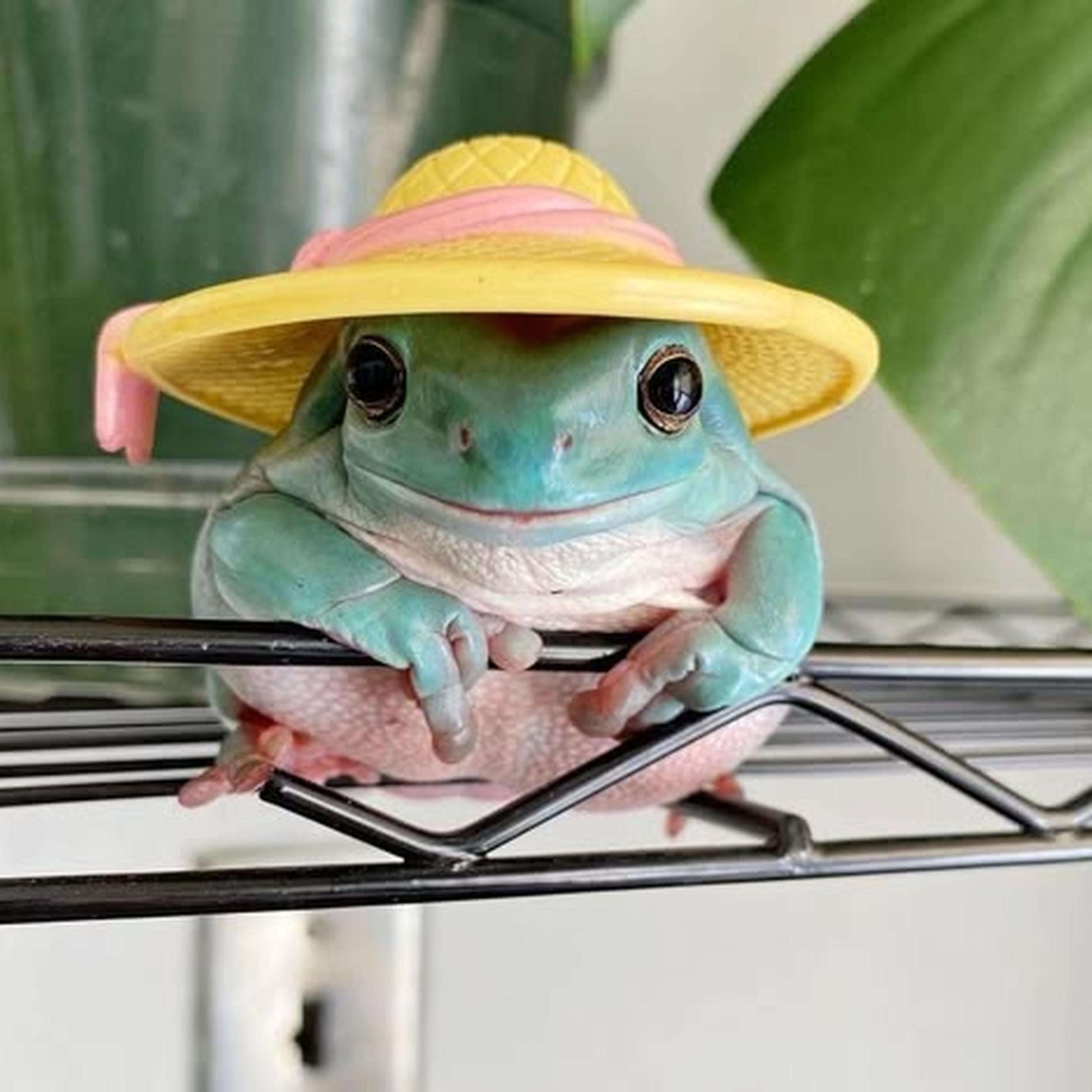 Grease Poppin Slowed