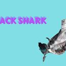 BLACK SHARK