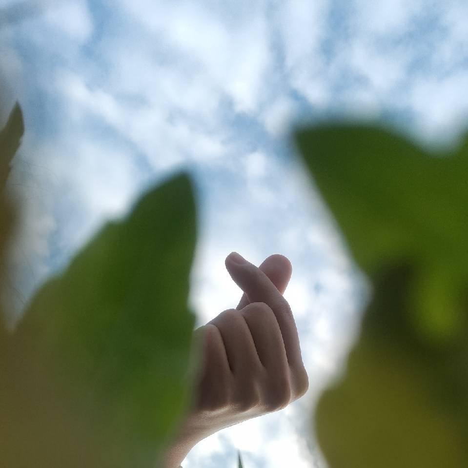 崽崽真的超级菜