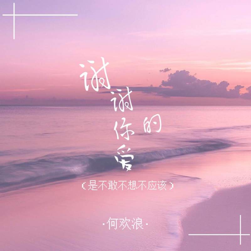 谢谢你的爱 (是不敢不想不应该) (伴奏)封面