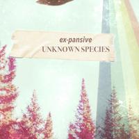 ex-pansive