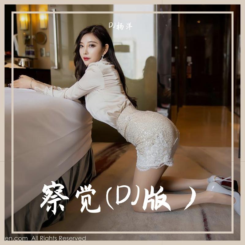 察觉(DJ版）封面