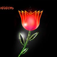 Cvetocek7资料,Cvetocek7最新歌曲,Cvetocek7MV视频,Cvetocek7音乐专辑,Cvetocek7好听的歌