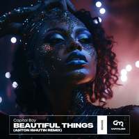 Beautiful Things (Anton Ishutin Remix)