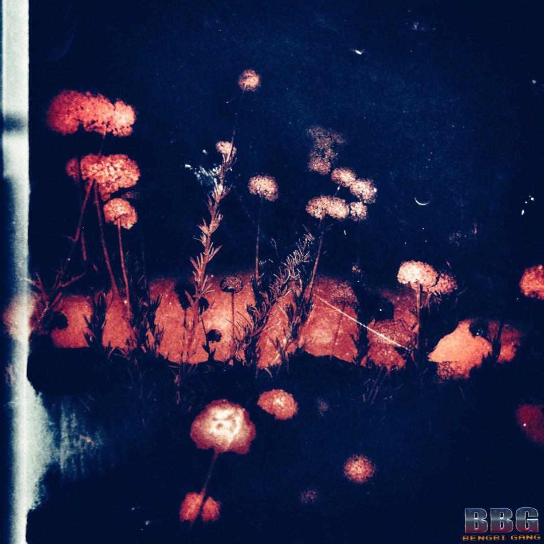 老妈再没提起过你（Feat.Jubia）_AMFIVE_老妈再没提起过你 | 在线播放_老妈再没提起过你（Feat.Jubia）歌词_老妈再没提起过你（Feat.Jubia）下载 | 网易云音乐