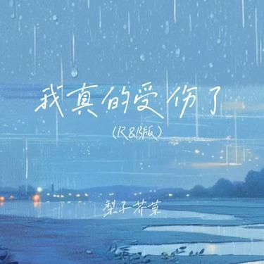 我真的受伤了 (R&B版)封面