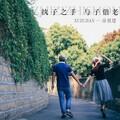 扫平全站越南鼓封面