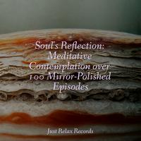 Soul's Reflection: Meditative Contemplation over 100 Mirror-Polished Episodes