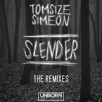 Slender (The Remixes)