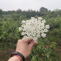 超人不会飞资料,超人不会飞最新歌曲,超人不会飞MV视频,超人不会飞音乐专辑,超人不会飞好听的歌