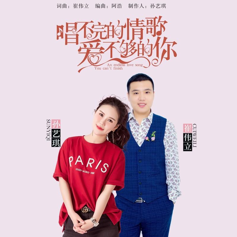唱不完的情歌 爱不够的你 (DJ版)封面