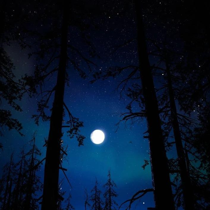 Sad Boy Autumn Version