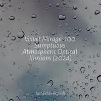 Velvet Mirage: 100 Sumptuous Atmospheric Optical Illusions (2024)