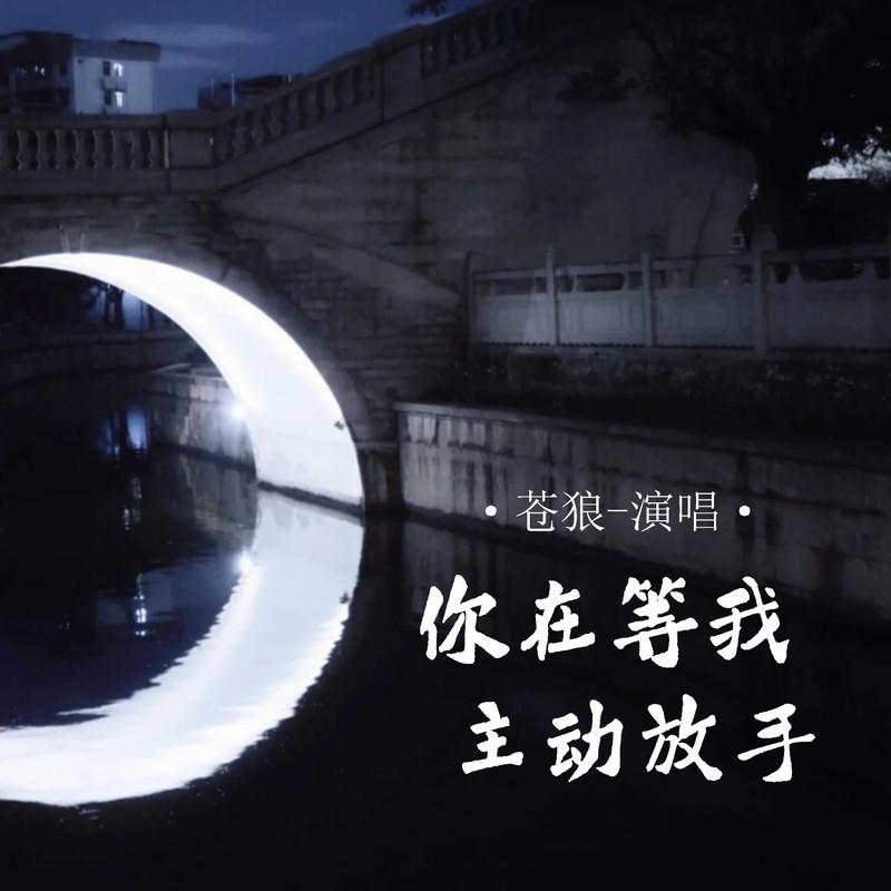 你在等我主动放手 (Live合唱版) - 苍狼封面