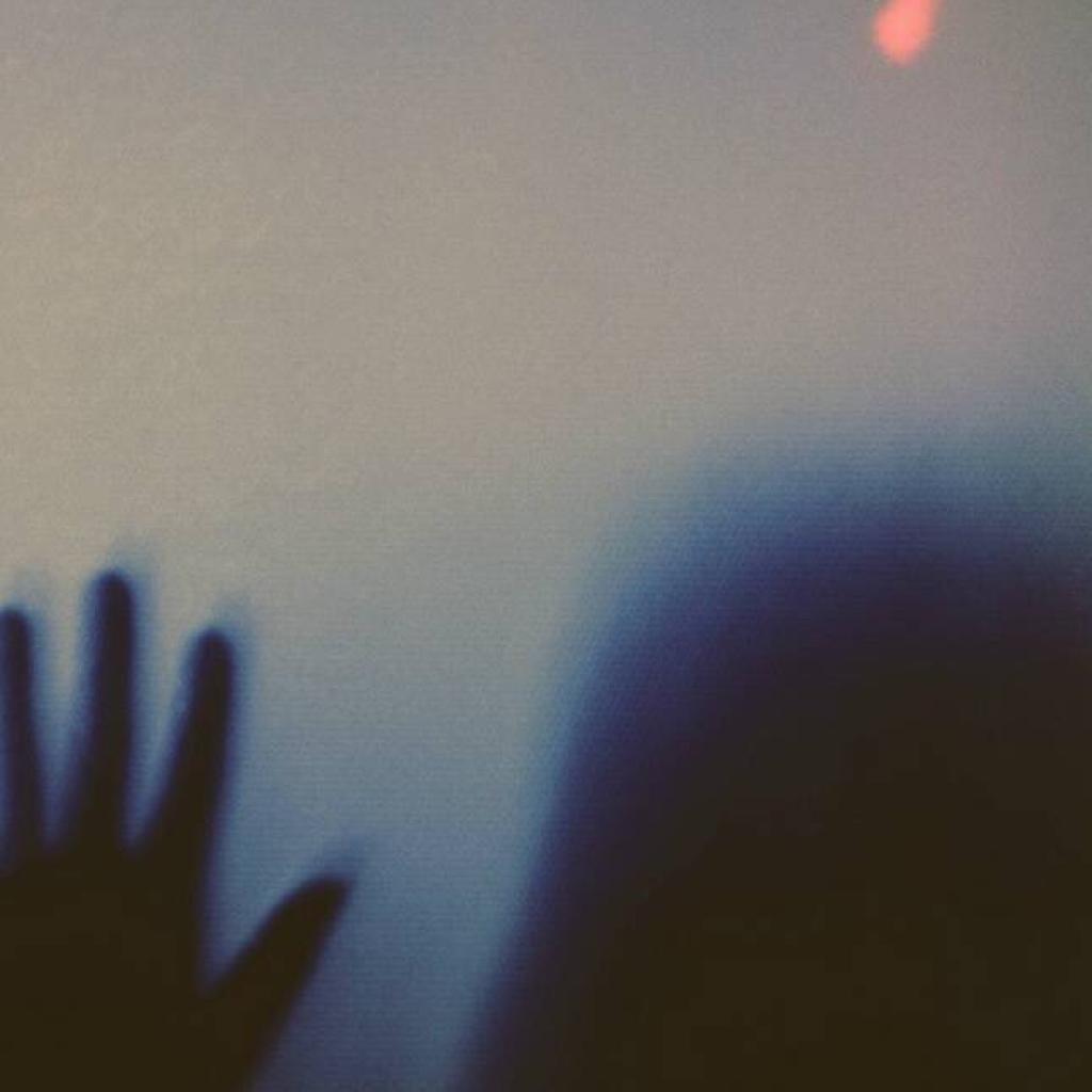 梦 盯  |  s h y L o v e 1.0