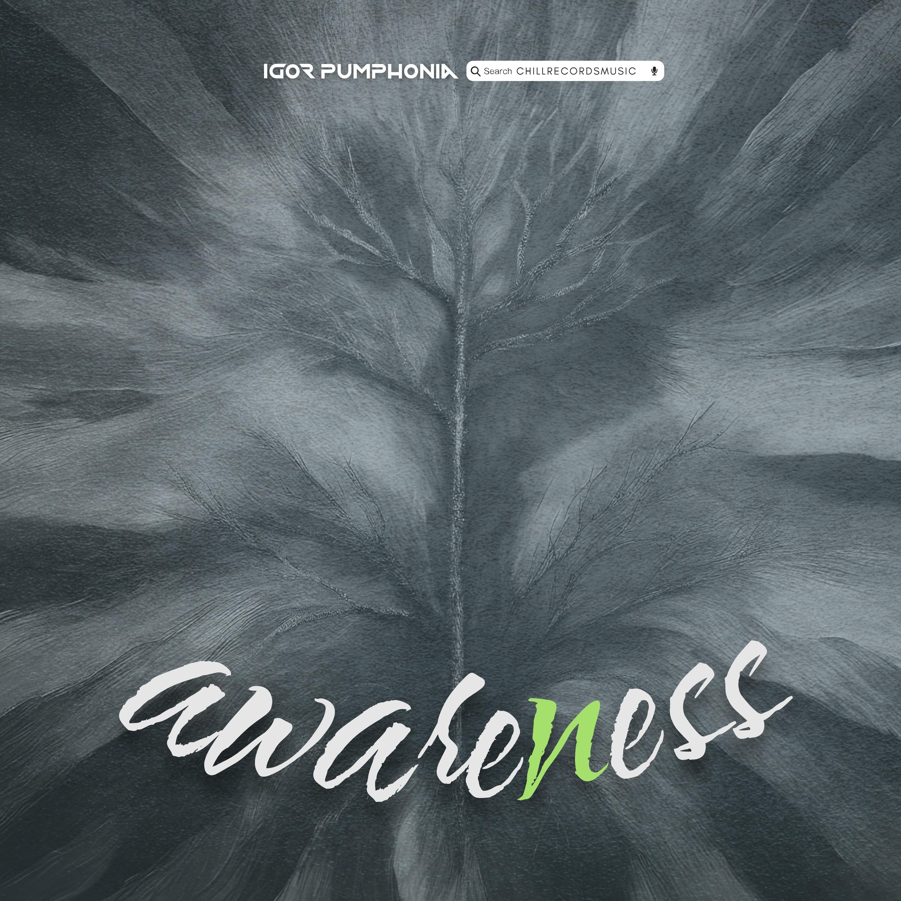 Awareness (Original Mix)