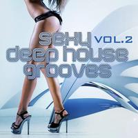 **** Deep House Grooves Vol 2 Attractive and Sensual House Collection