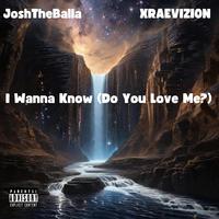 I Wanna Know (Do You Love Me?) (feat. XRAEVIZION) [Remix]