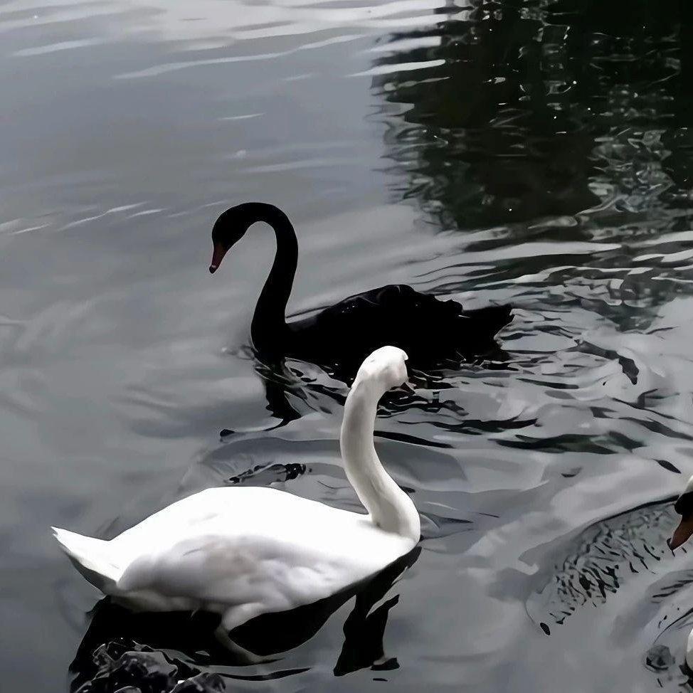 学习工作困了，提神醒脑专用(极度好用)