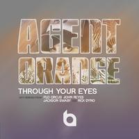 Through Your Eyes - Remix EP