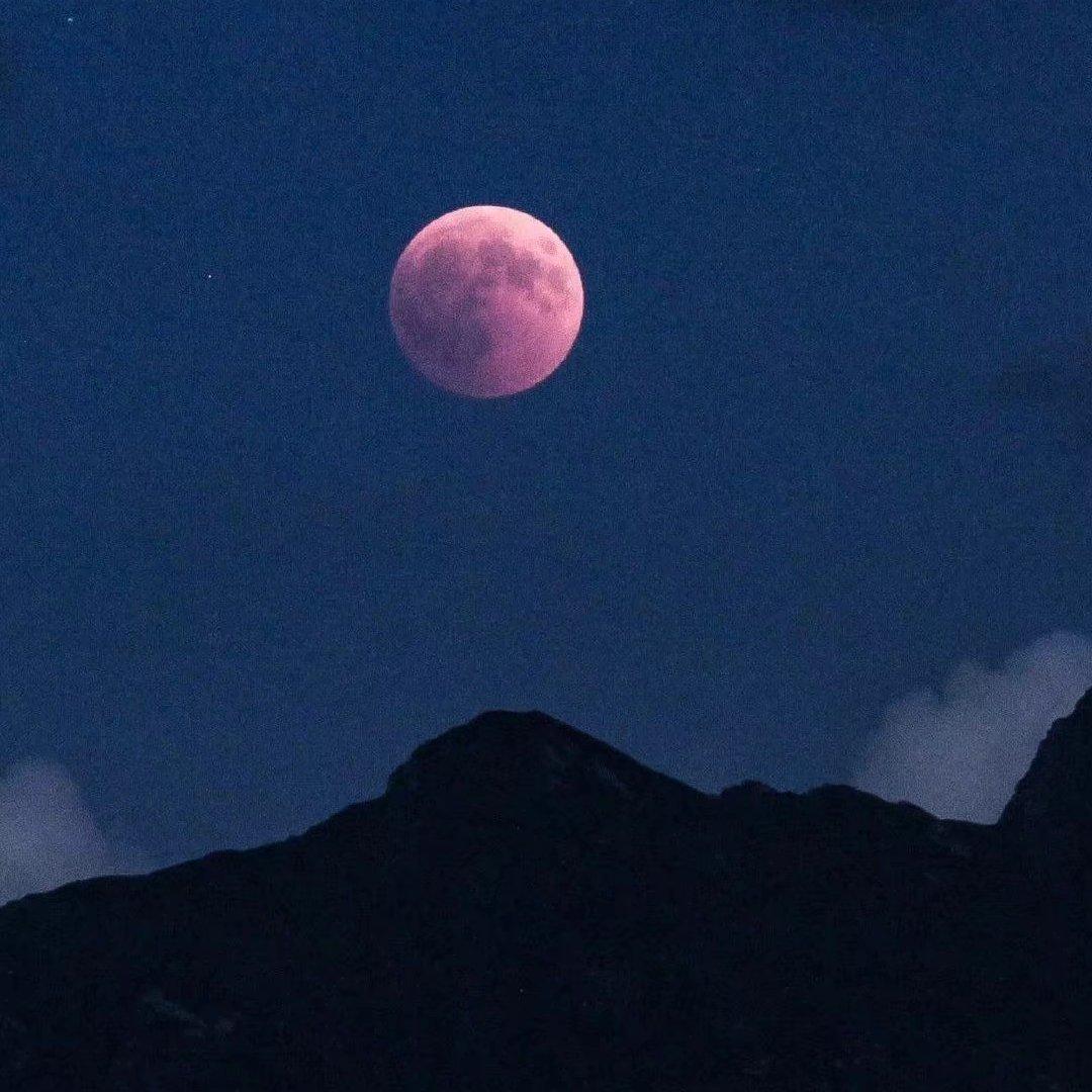 N 1 G H T 深夜俱樂部.