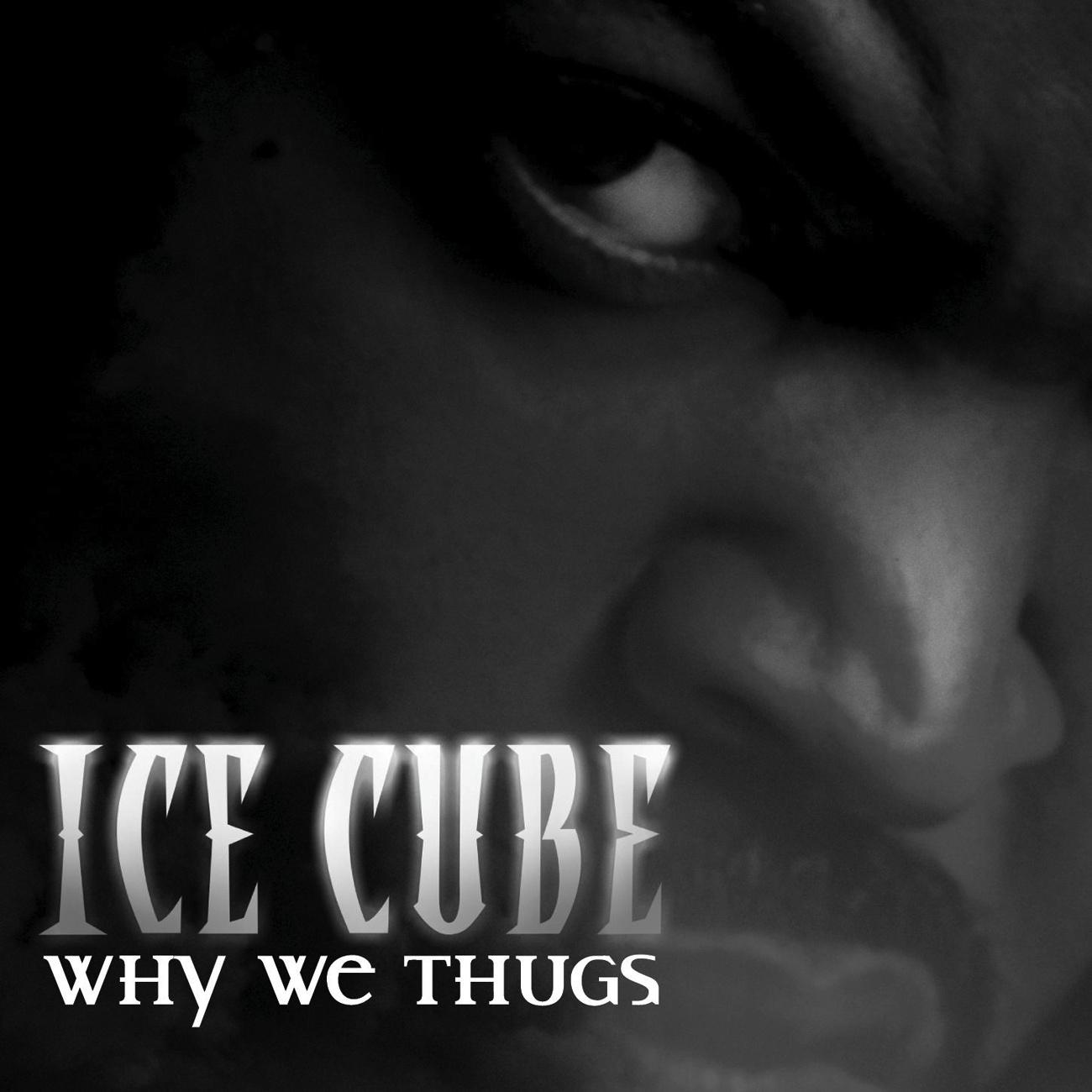 why we thugs (edited version)